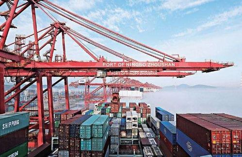重磅 上海将计划建设自由贸易港