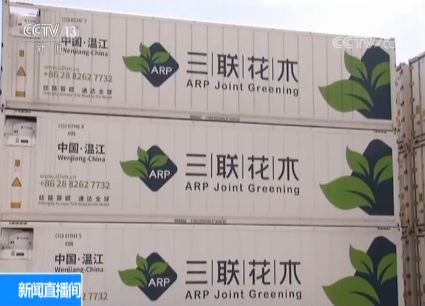 自贸区观察 一单制 带动商品贸易便利化